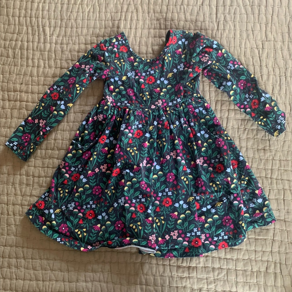 Hanna Andersson Long Sleeve Skater Dress